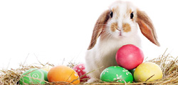 Happy Easter!